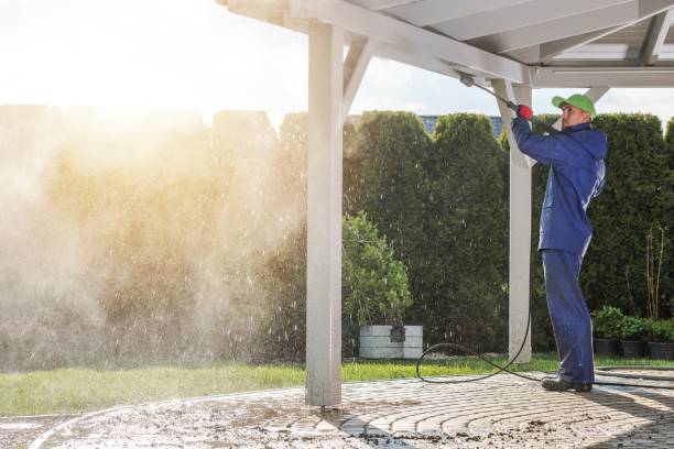 Best Dumpster Area Cleaning  in Woodlake, CA