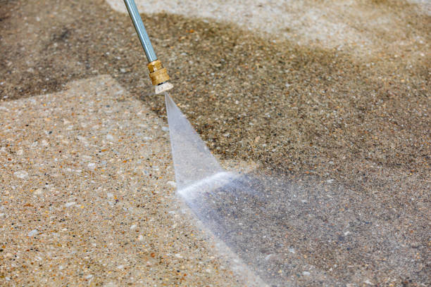 Animal Enclosure Cleaning in Woodlake, CA