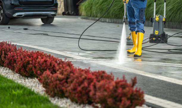 Best Roof Washing  in Woodlake, CA